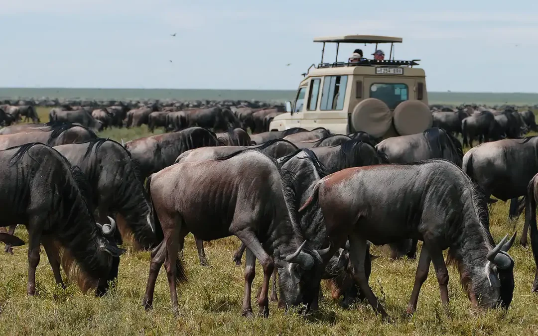 Serengeti National Park