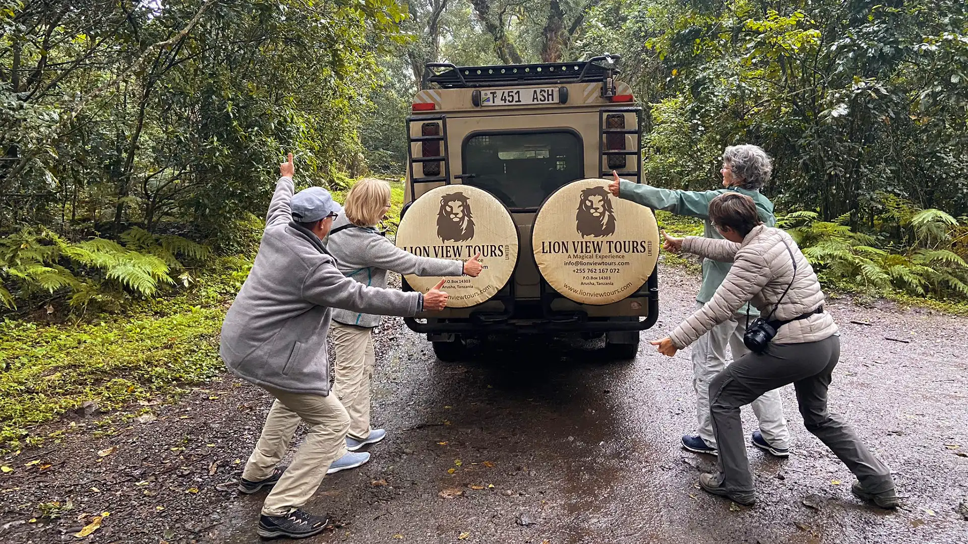 Lion View Tour on a Tanzania Safari