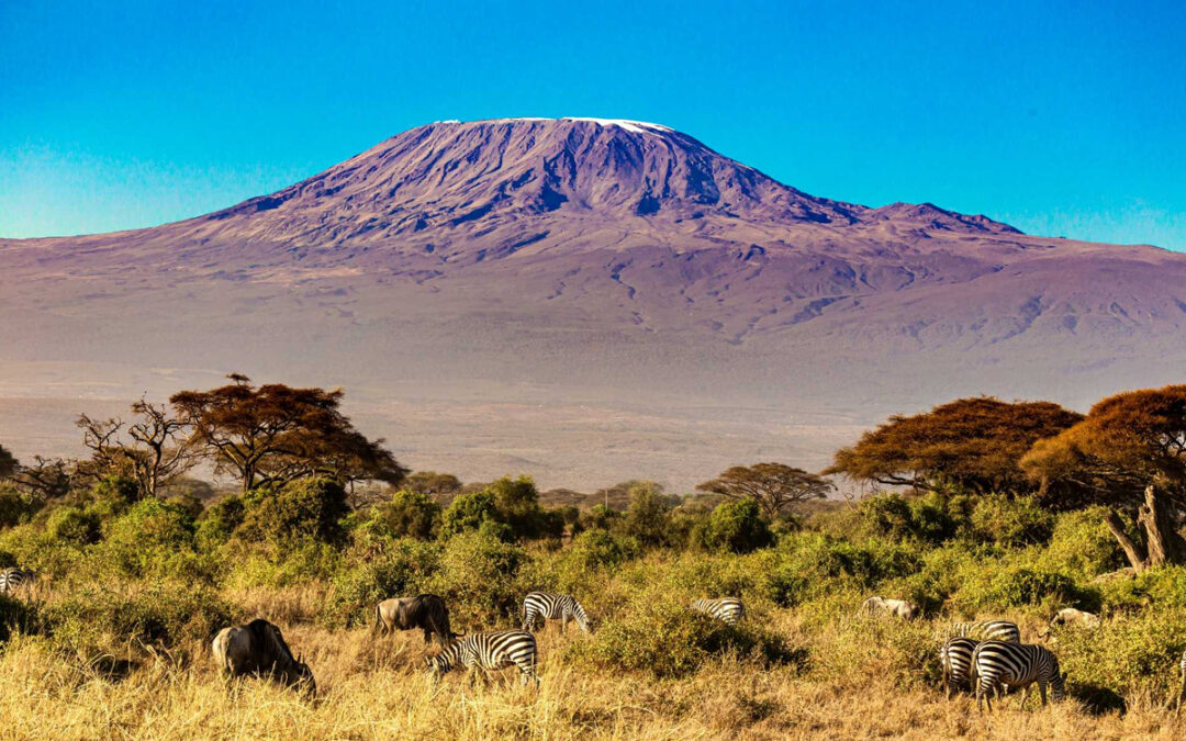 Mount Kilimanjaro National Park