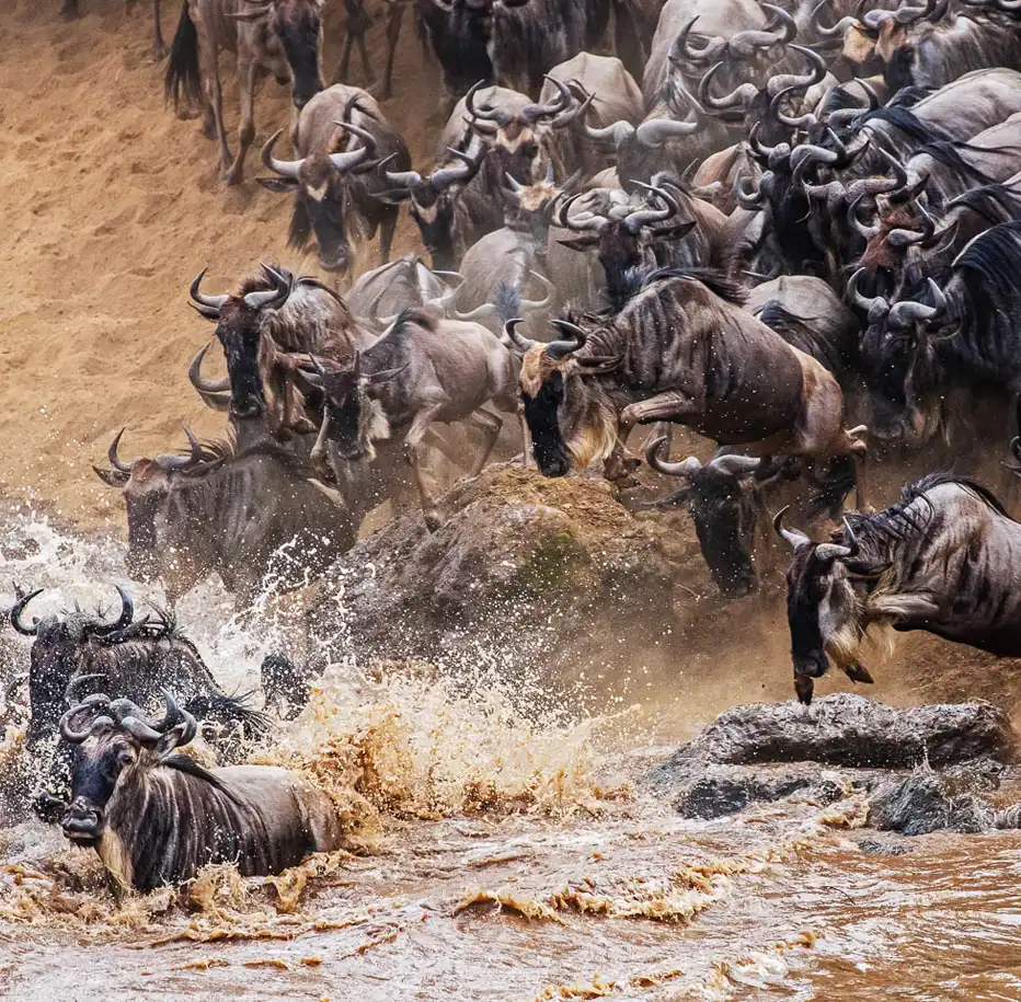 Serengeti National Park