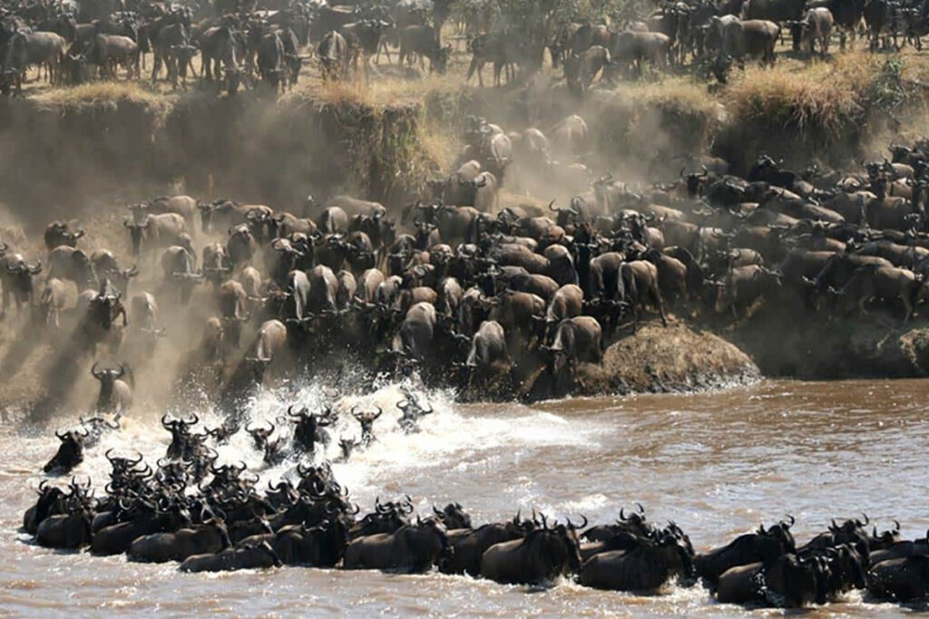 10-Day Great Migration Safari Itinerary (mid-Luxury safari)