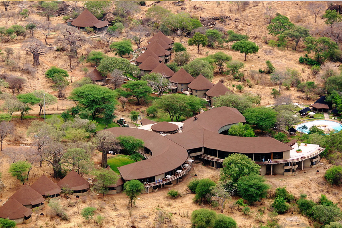 6 Days Ultimate Tanzania Safari