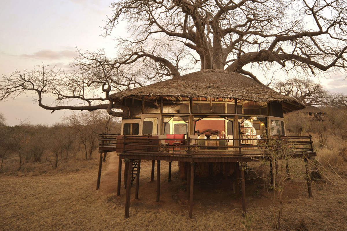 8-Day Luxury Tanzania Safari<br />
