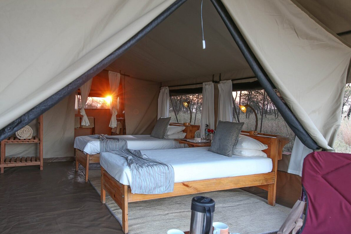 7-Day Great Migration Safari Itinerary (Mid-Luxury safari)