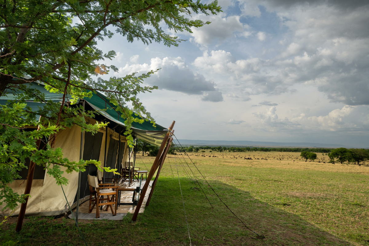 7-Day Great Migration Safari Itinerary (Mid-Luxury safari)